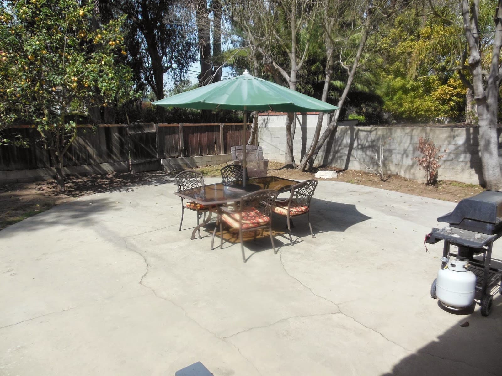 Senior Living Lifestyle- Palos Verdes photo 5