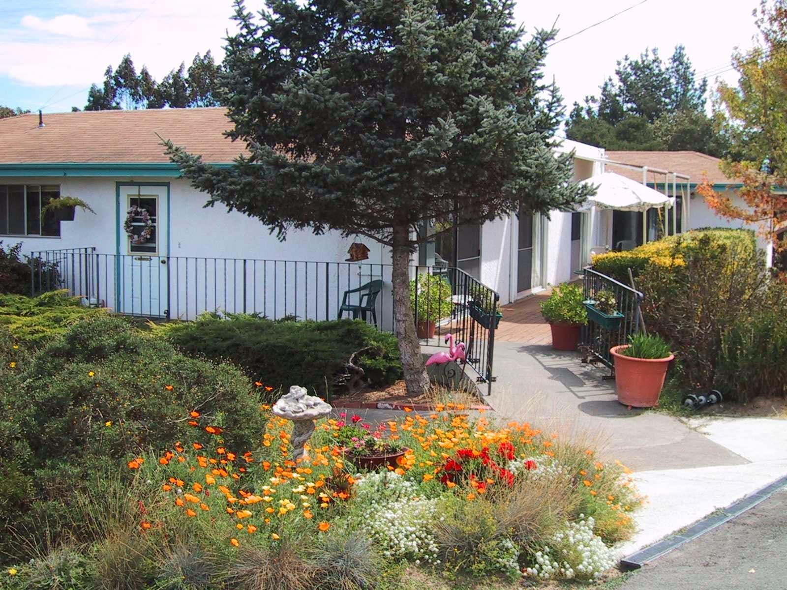 All Seasons Residential Care Home photo 4