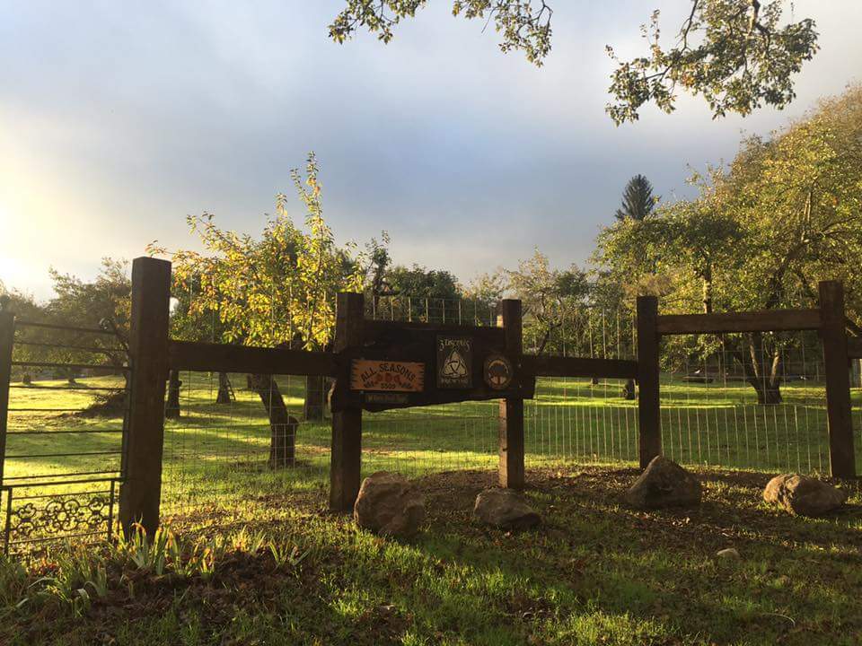 All Seasons Residential Care Home photo 3