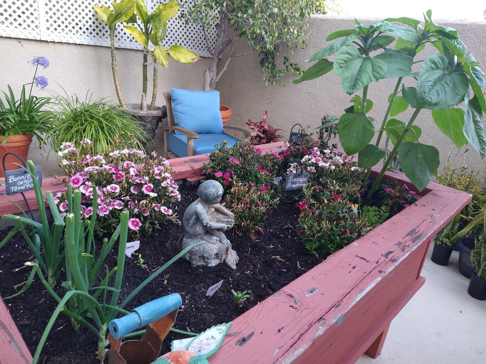 Harbor Terrace Retirement Center Of San Pedro photo 5