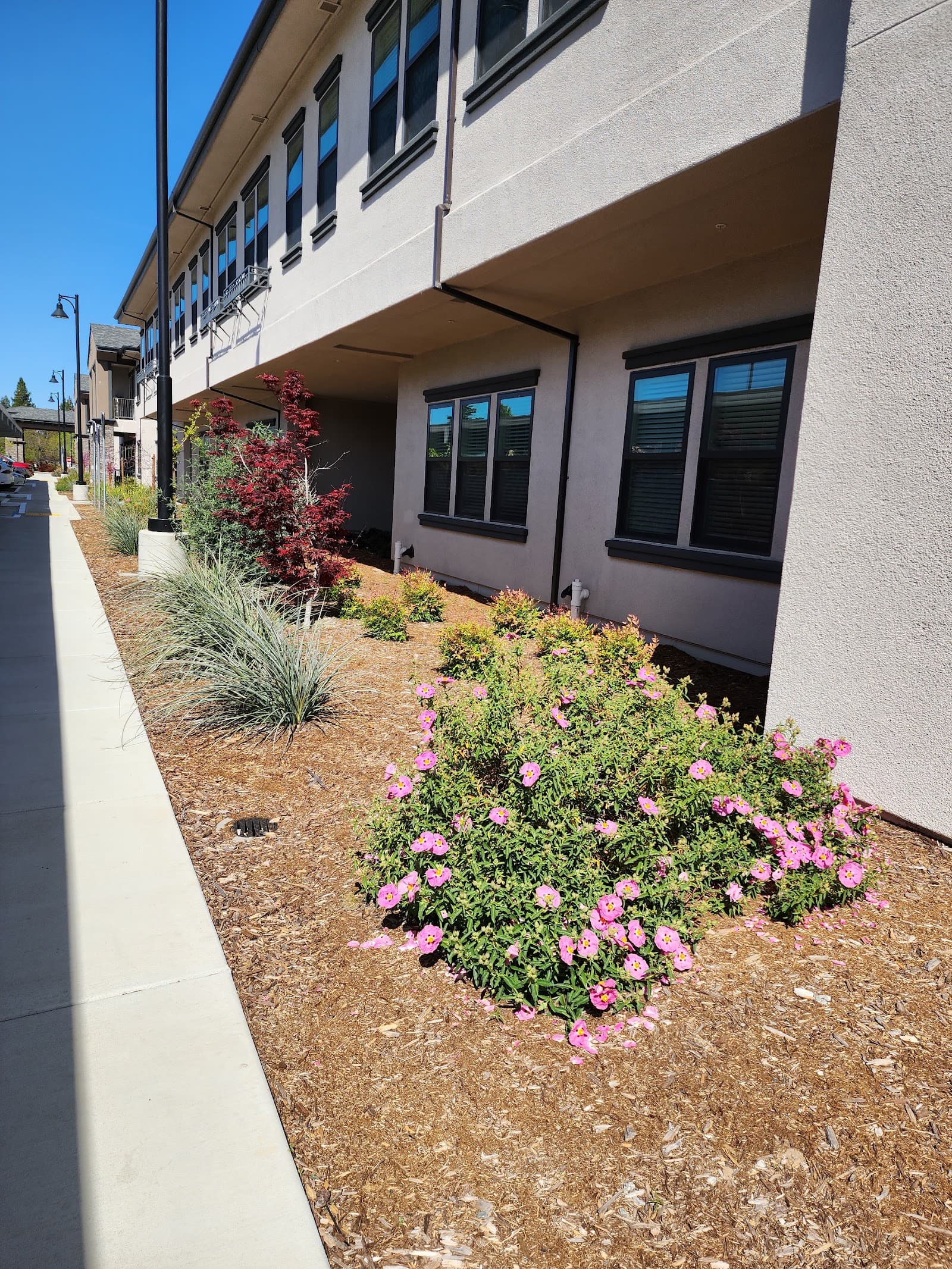 WellQuest of Granite Bay photo 4