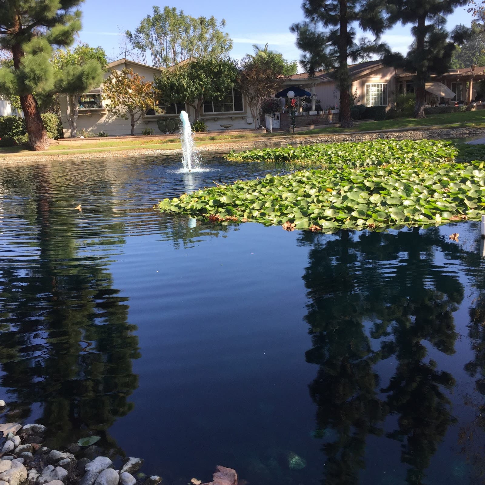 Lake Park Santa Ana North photo 1