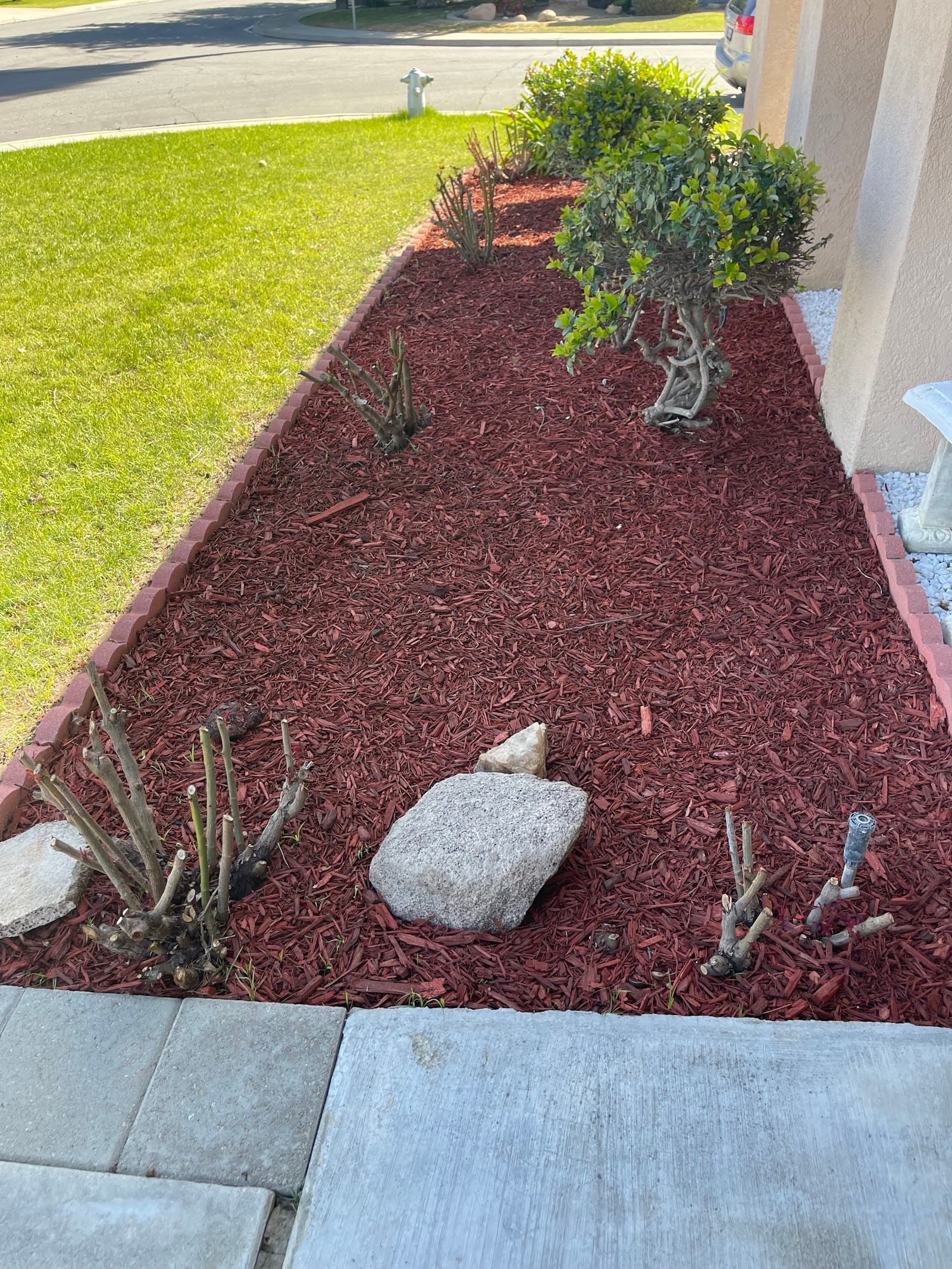 Tlc Home Care 1 photo 5