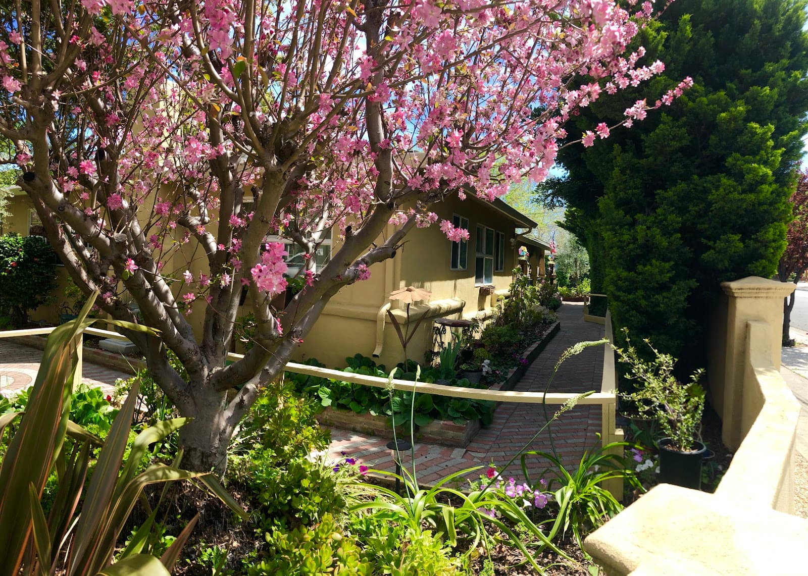 Gardens Senior Care photo 4