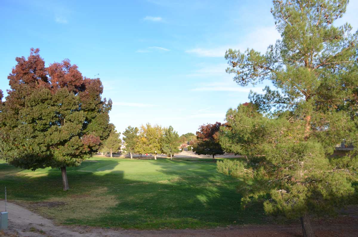 Green Tree Residence photo 4