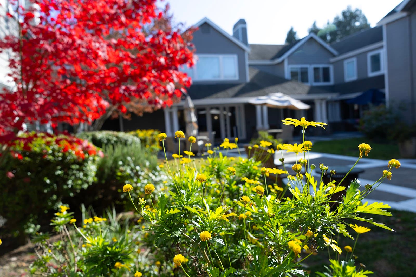 Windsong Of Sonoma Senior Living photo 3
