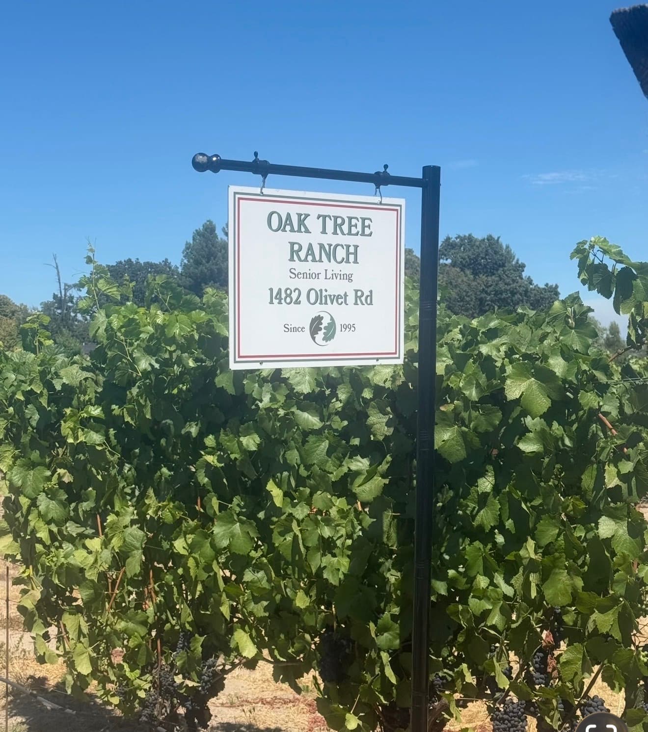 Oak Tree Ranch photo 4