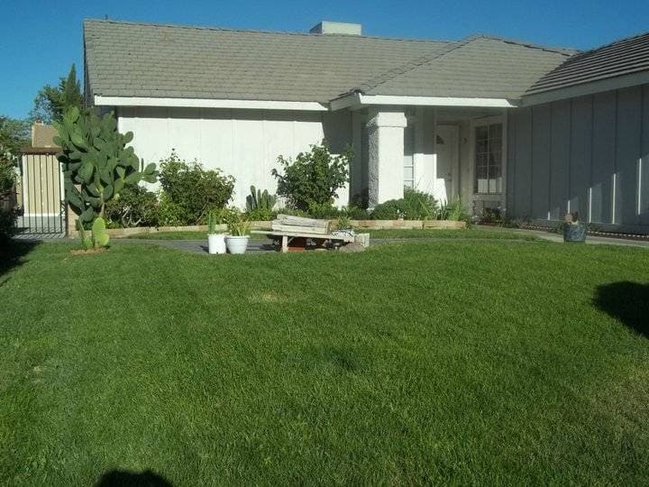 Lively Home Care photo 4