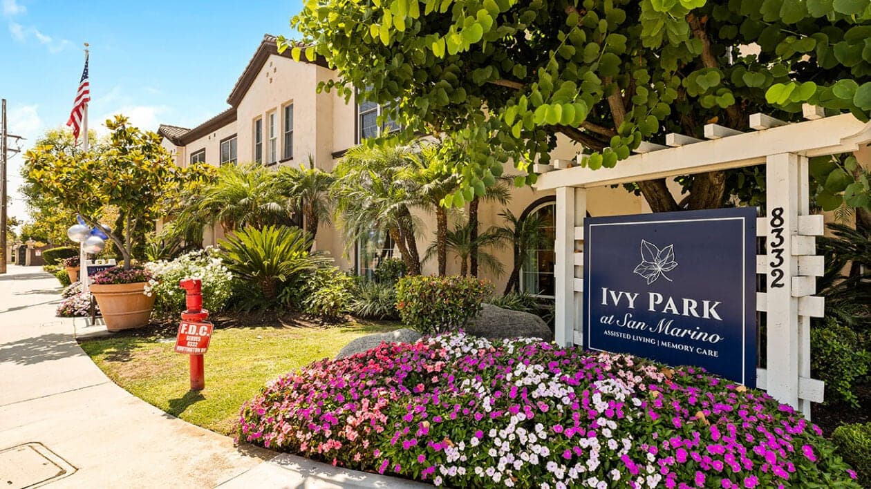 Ivy Park at San Marino photo 2
