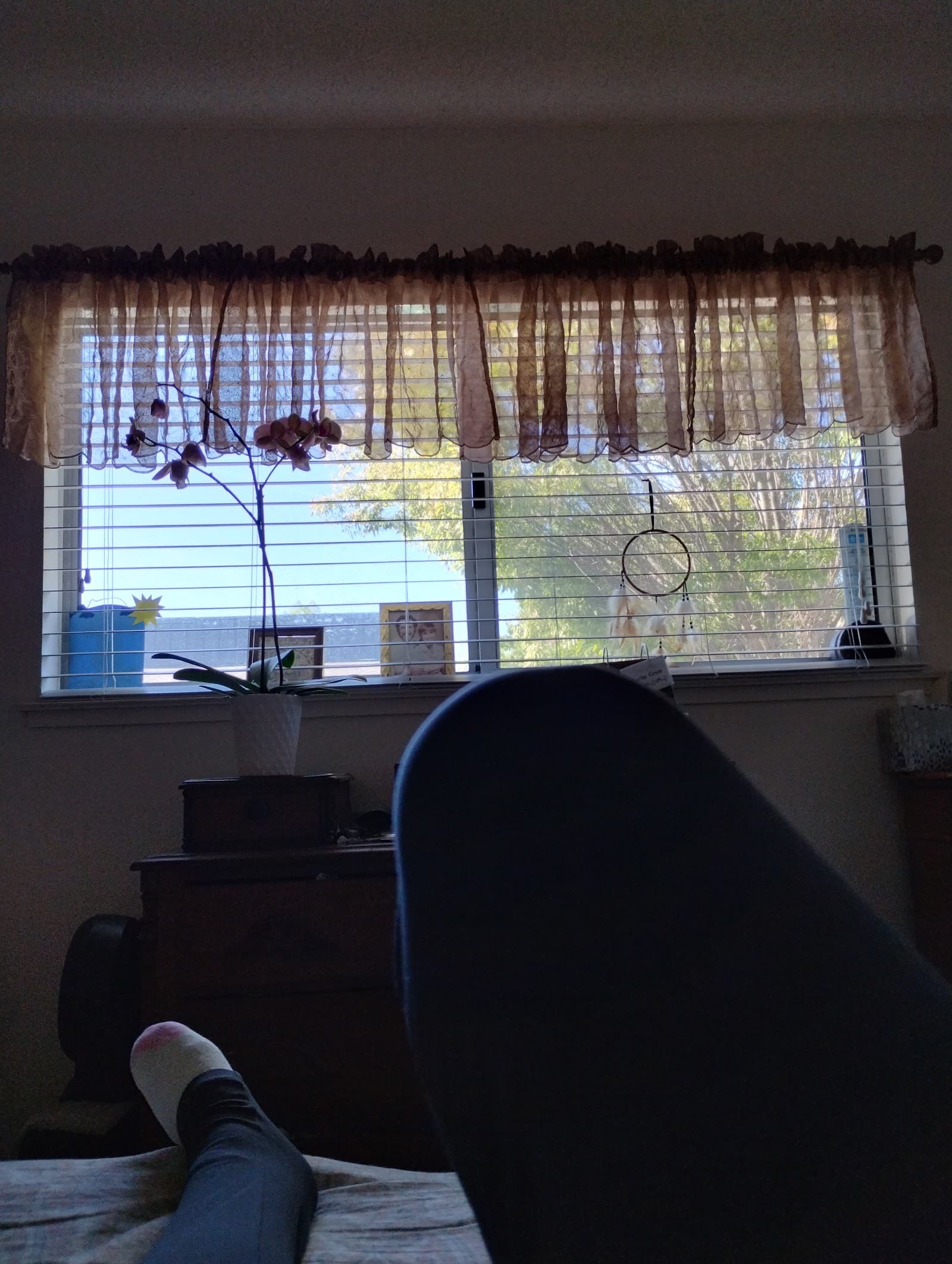 Phyllis' Care Home photo 3