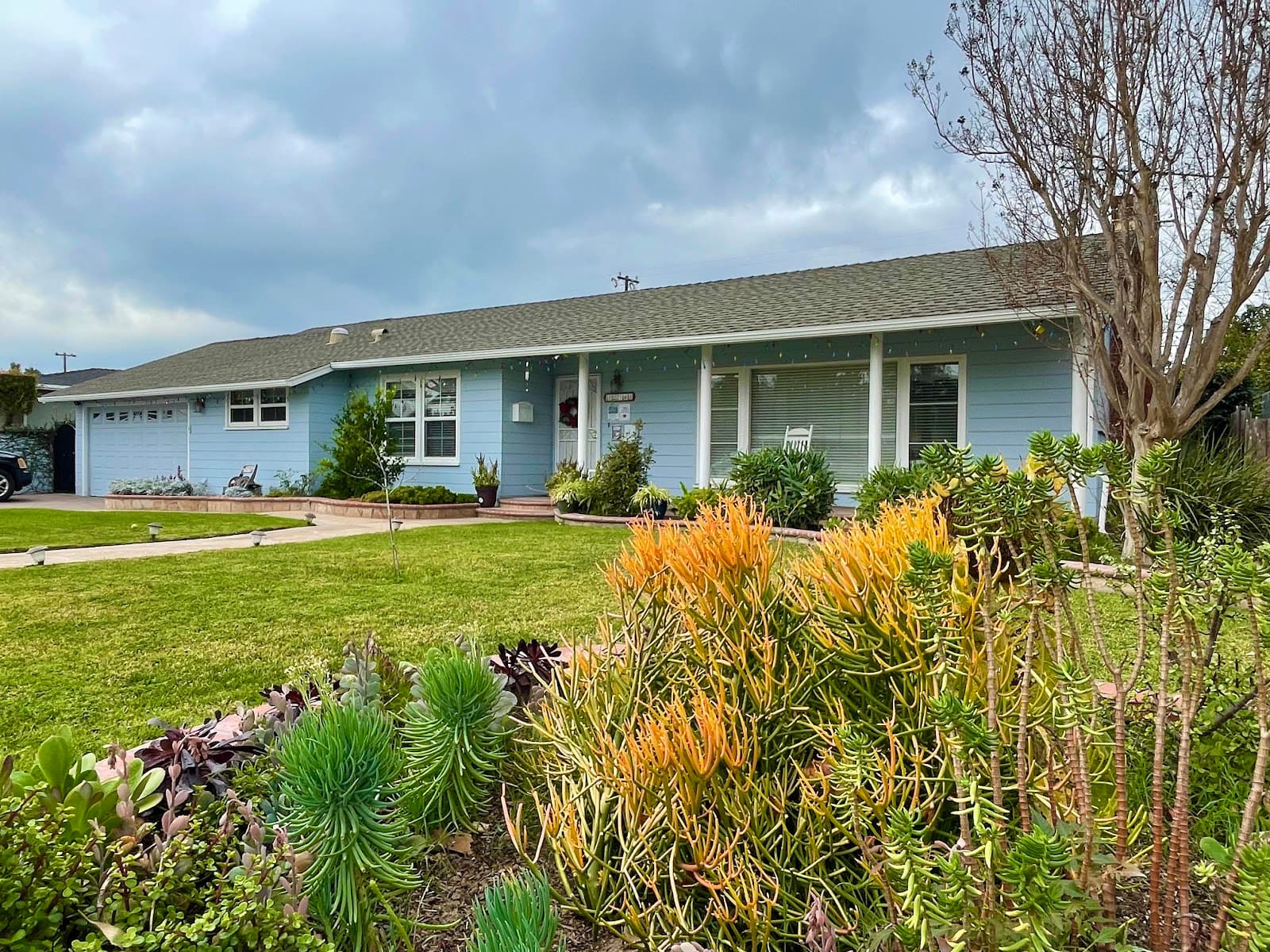 Violet Residential Care photo 1