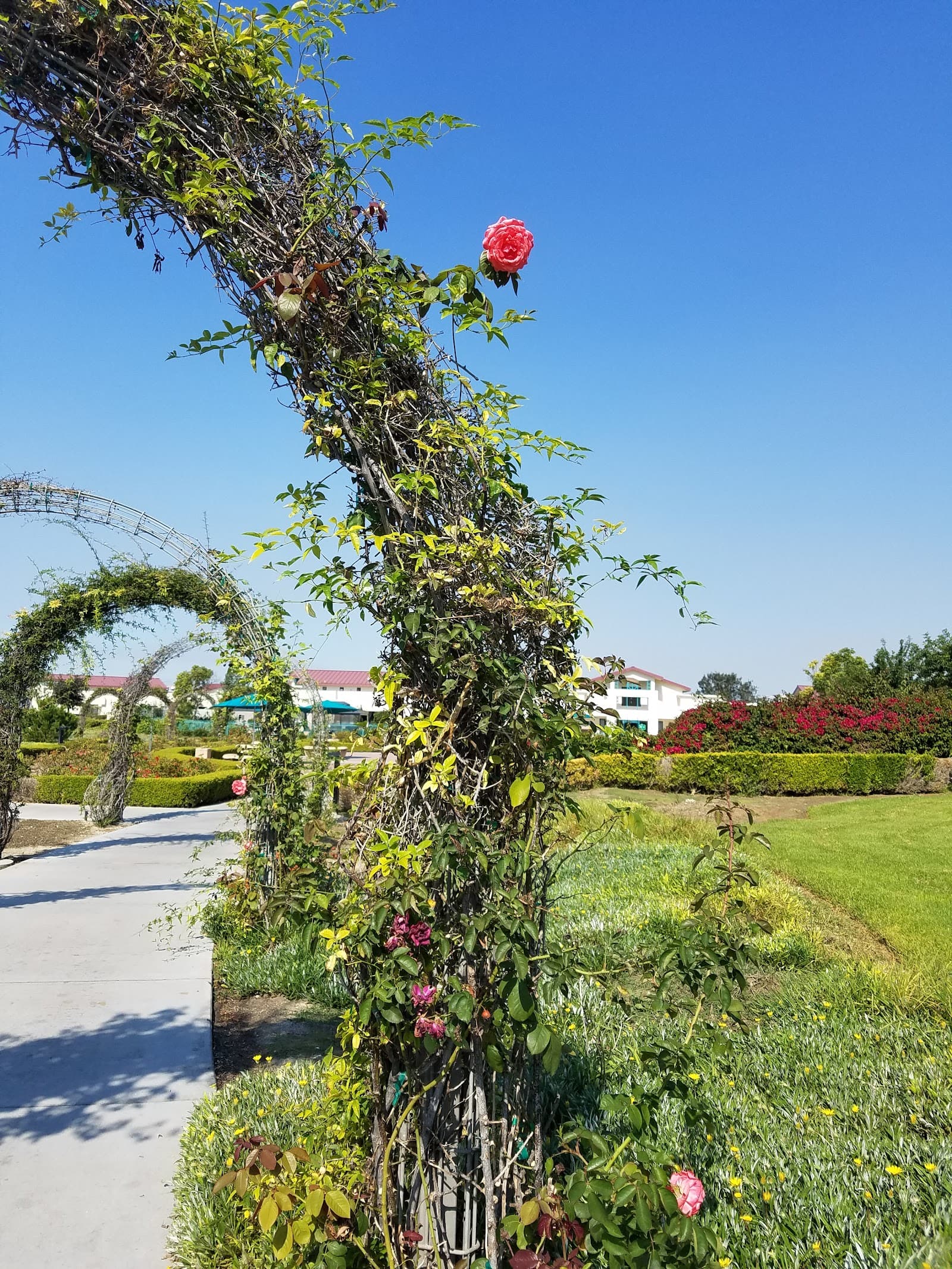 Veterans Home Chula Vista photo 3