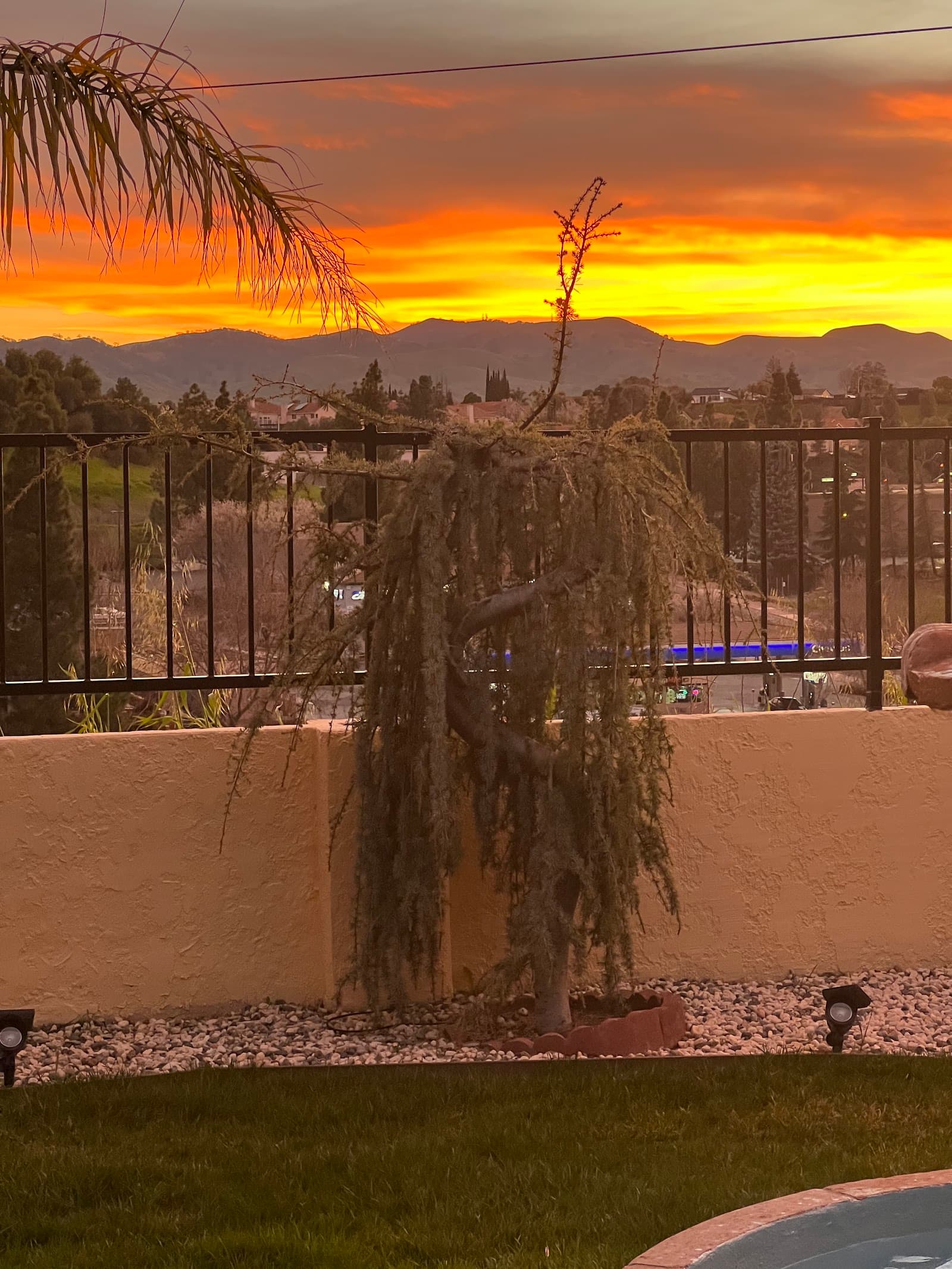 Terrace View Assisted Living photo 4