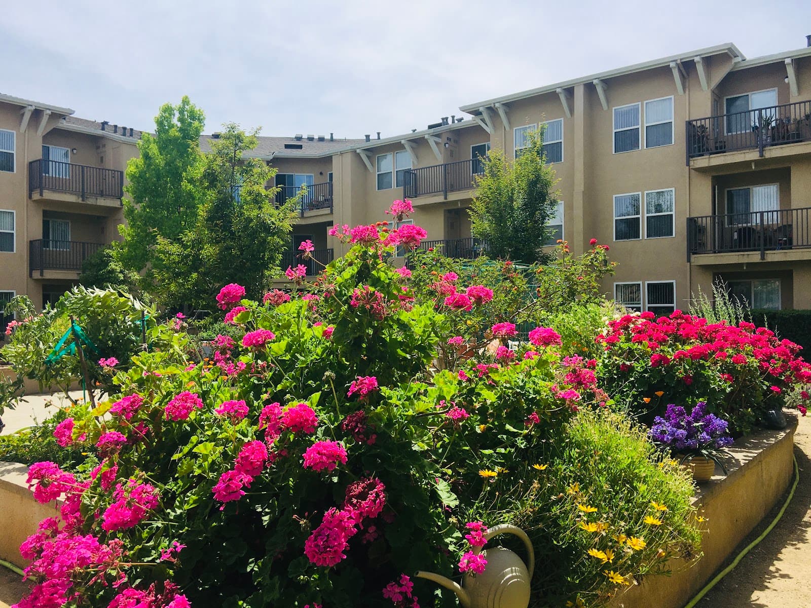 Acc Assisted Living At Greenhaven Terrace photo 3