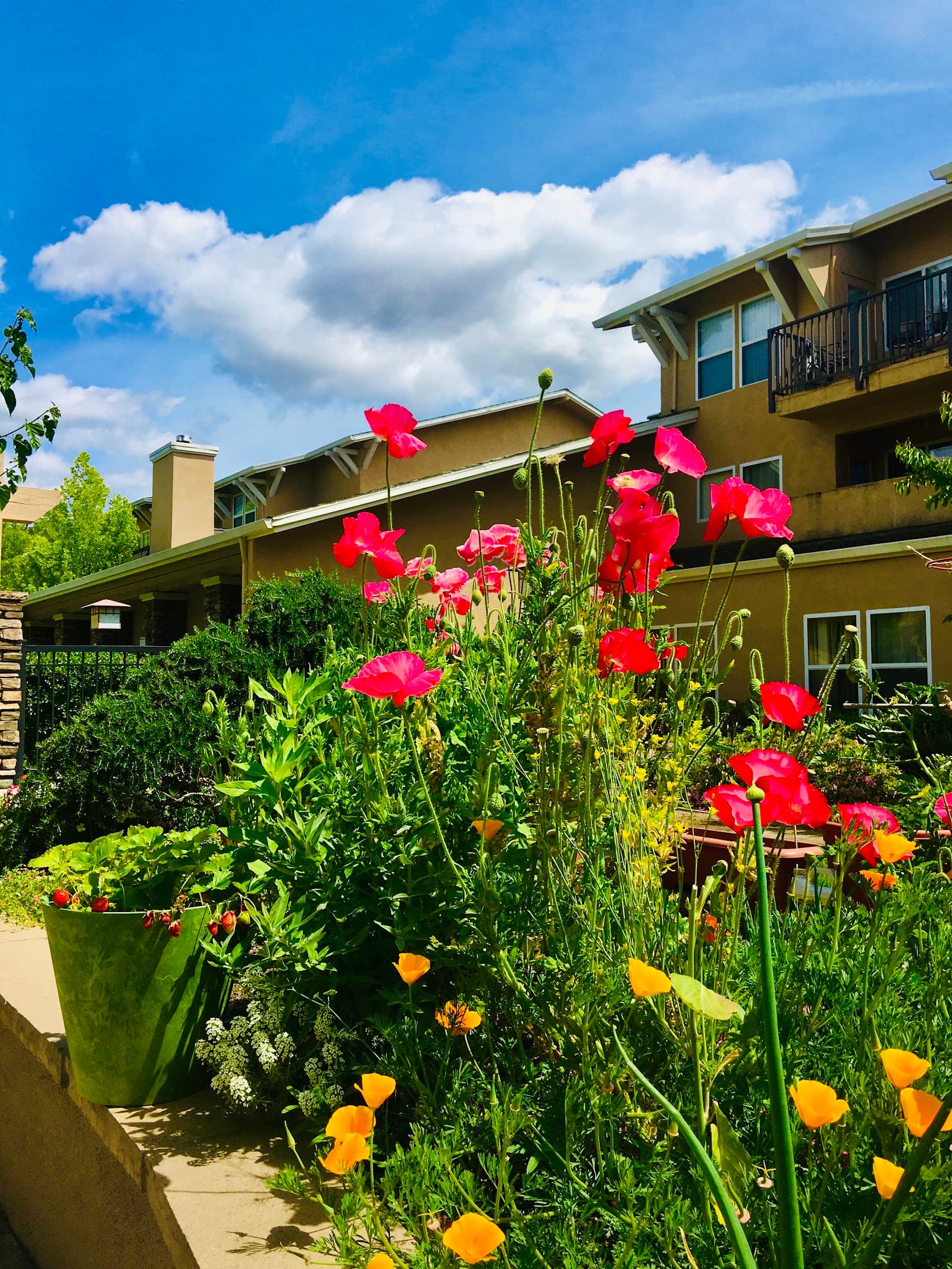 Acc Assisted Living At Greenhaven Terrace photo 4