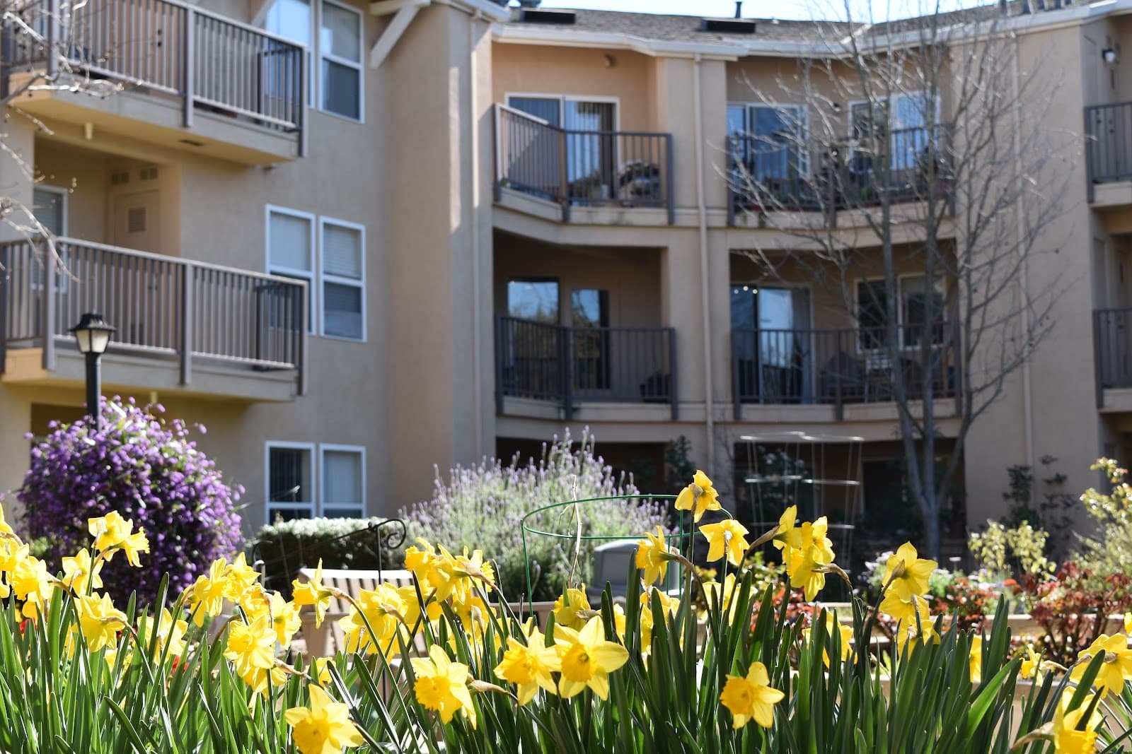 Acc Assisted Living At Greenhaven Terrace photo 5