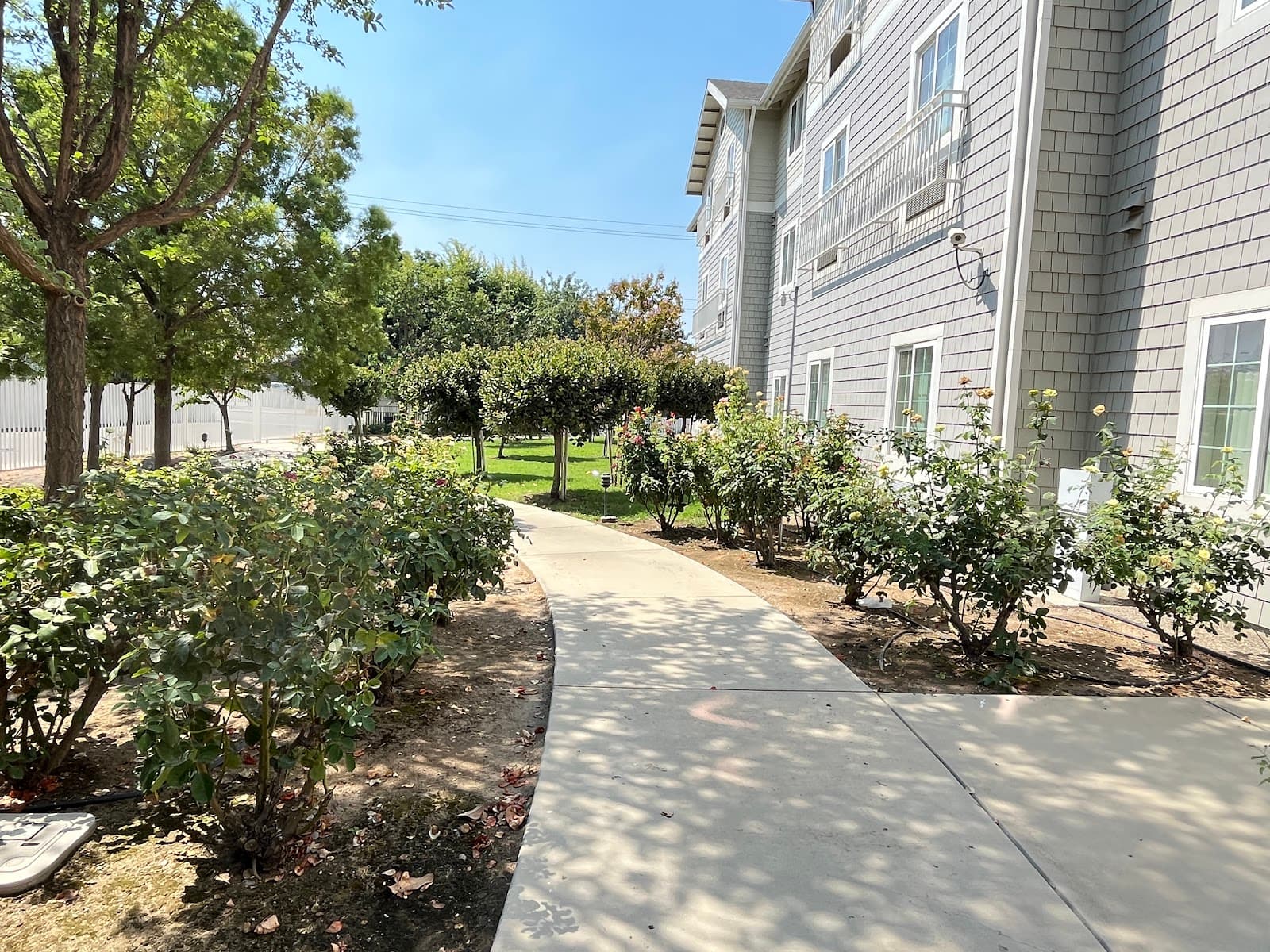 Rose View Terrace