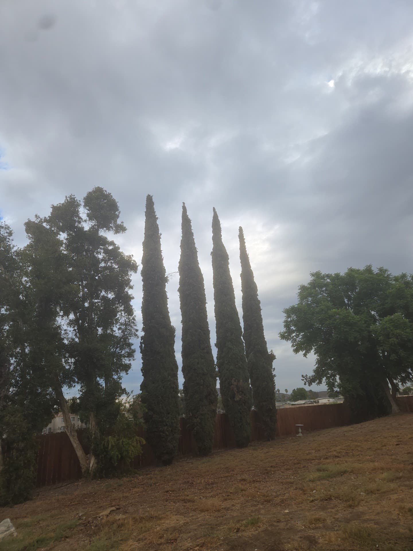 CalOaks Senior Living photo 3