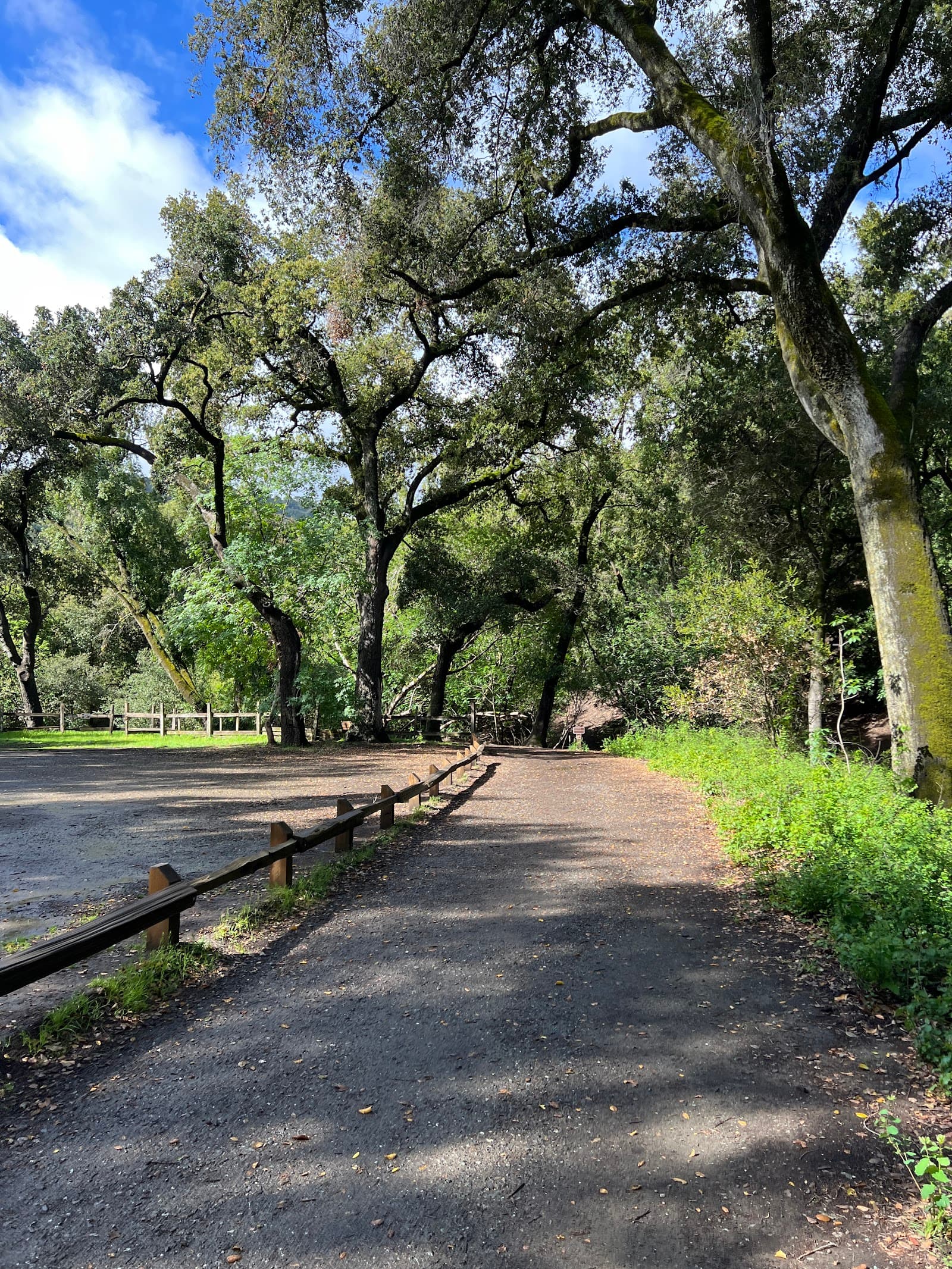 The Forum at Rancho San Antonio photo 2