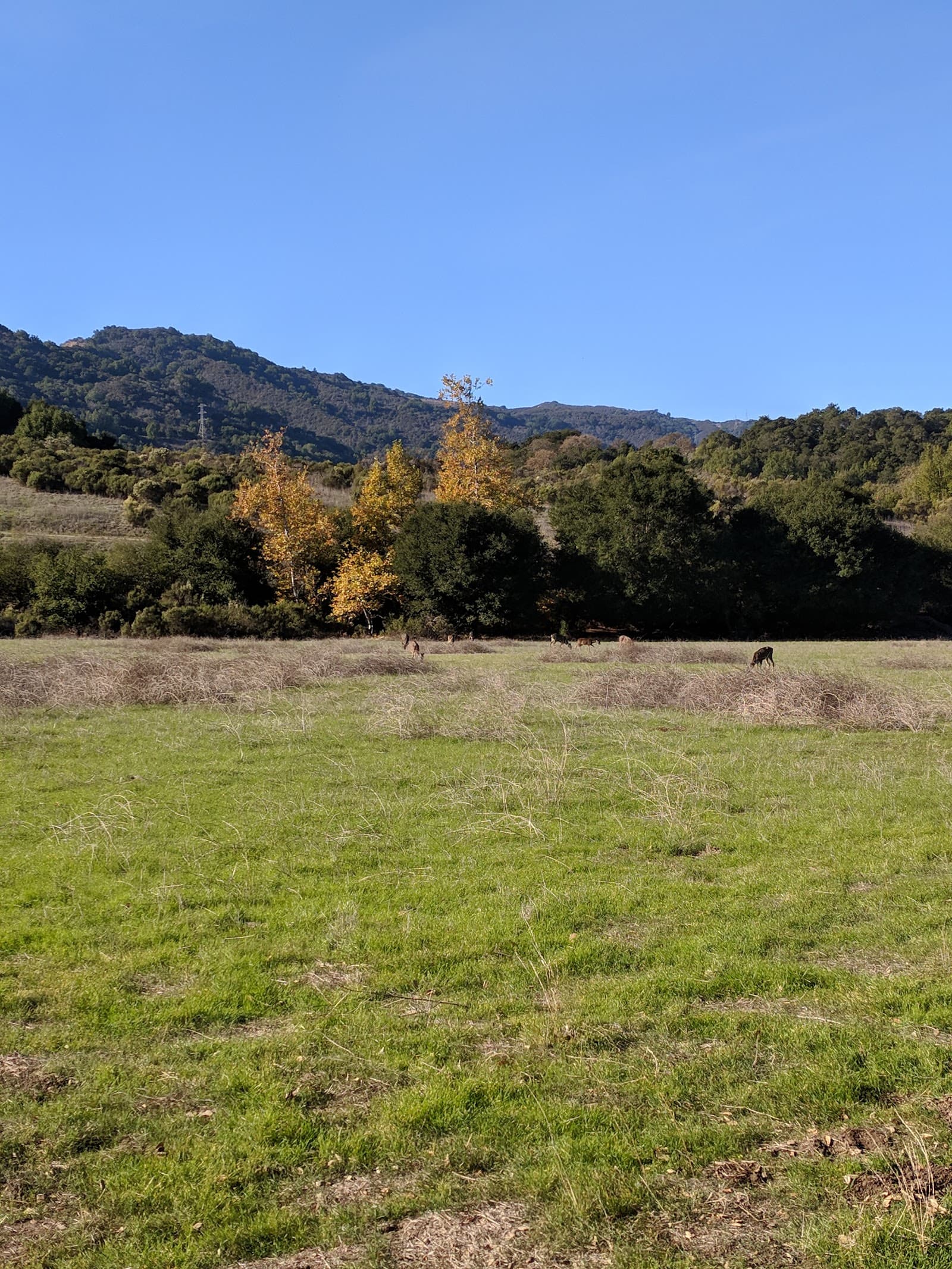 The Forum at Rancho San Antonio photo 3