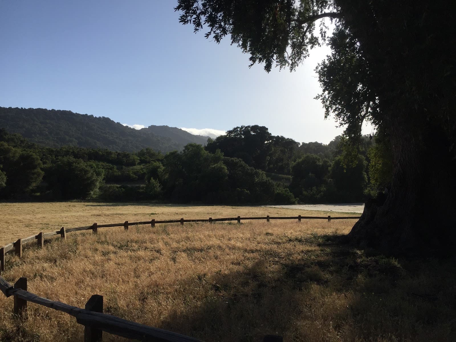 The Forum at Rancho San Antonio photo 5