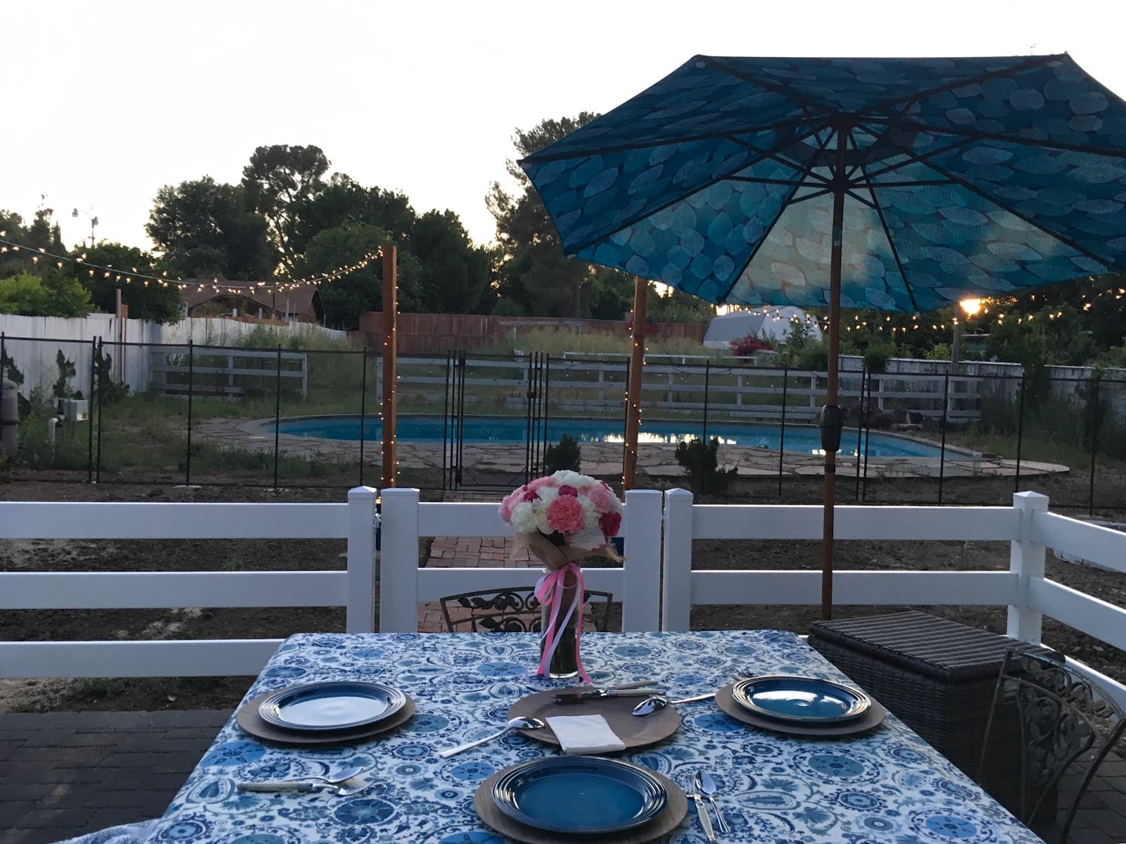 Blue Skies Ranch photo 3