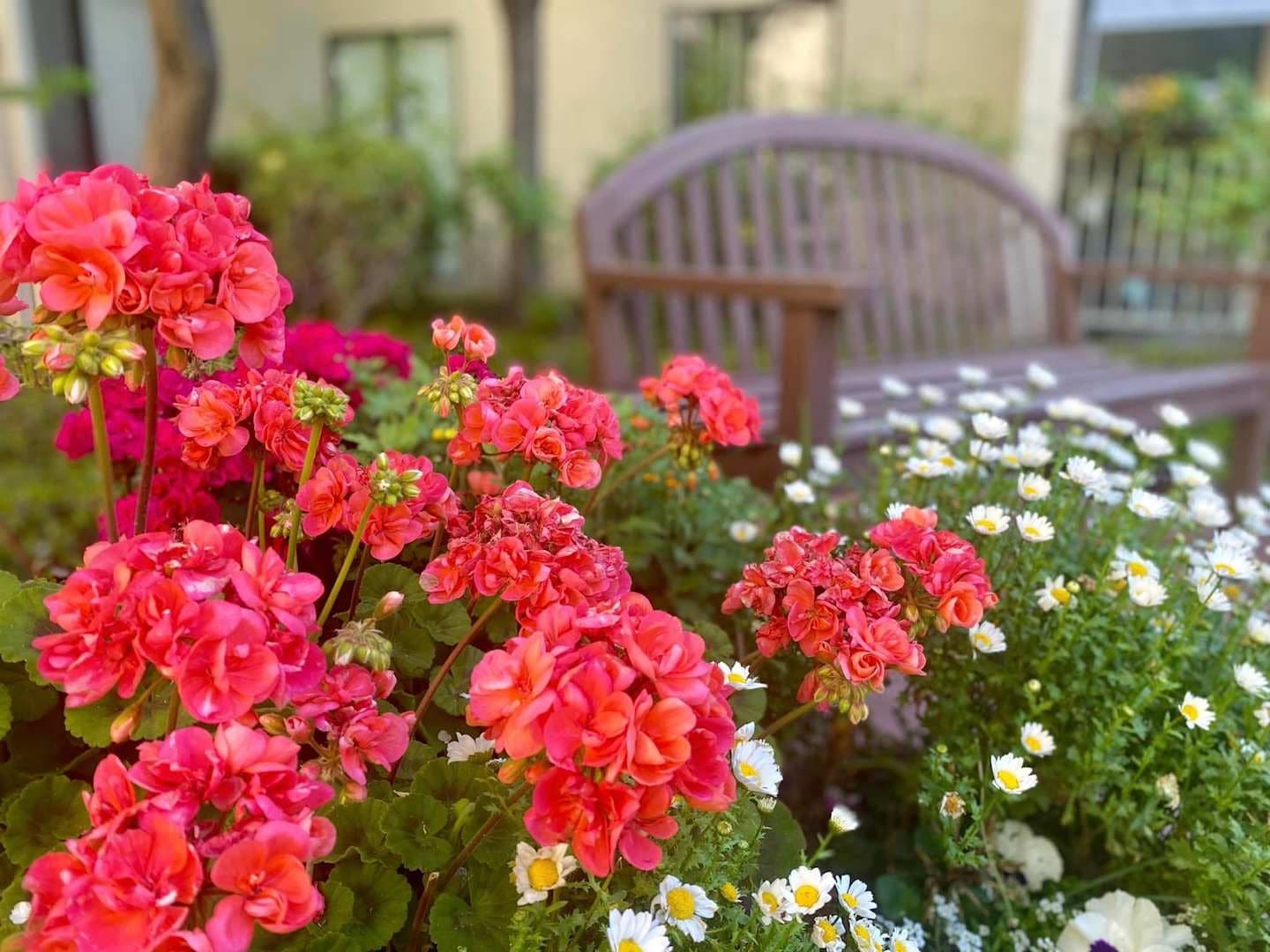 Winding Commons Senior Living photo 1