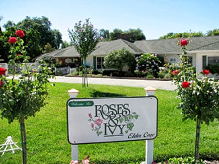 Roses and Ivy Elder Care photo 2