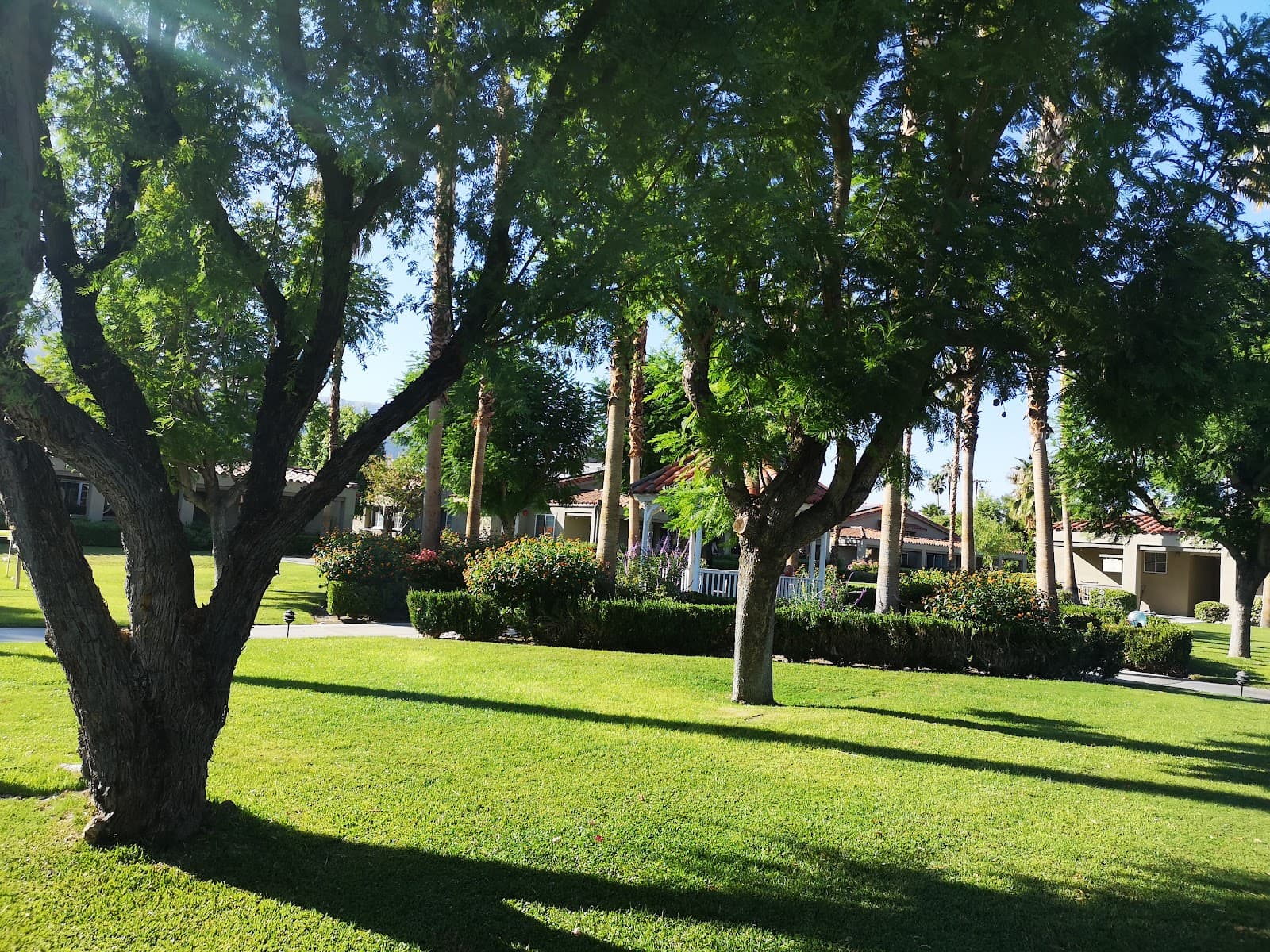Cottages at Palm Springs photo 5