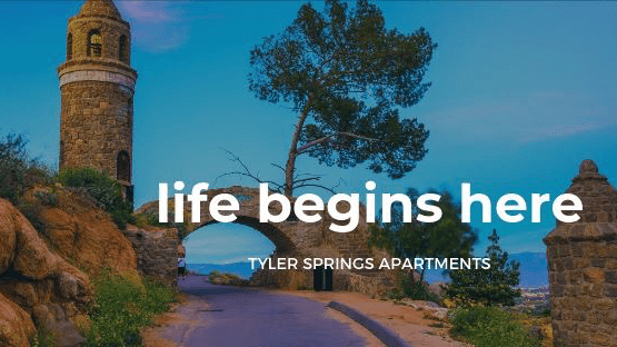Tyler Springs Apartments photo 5