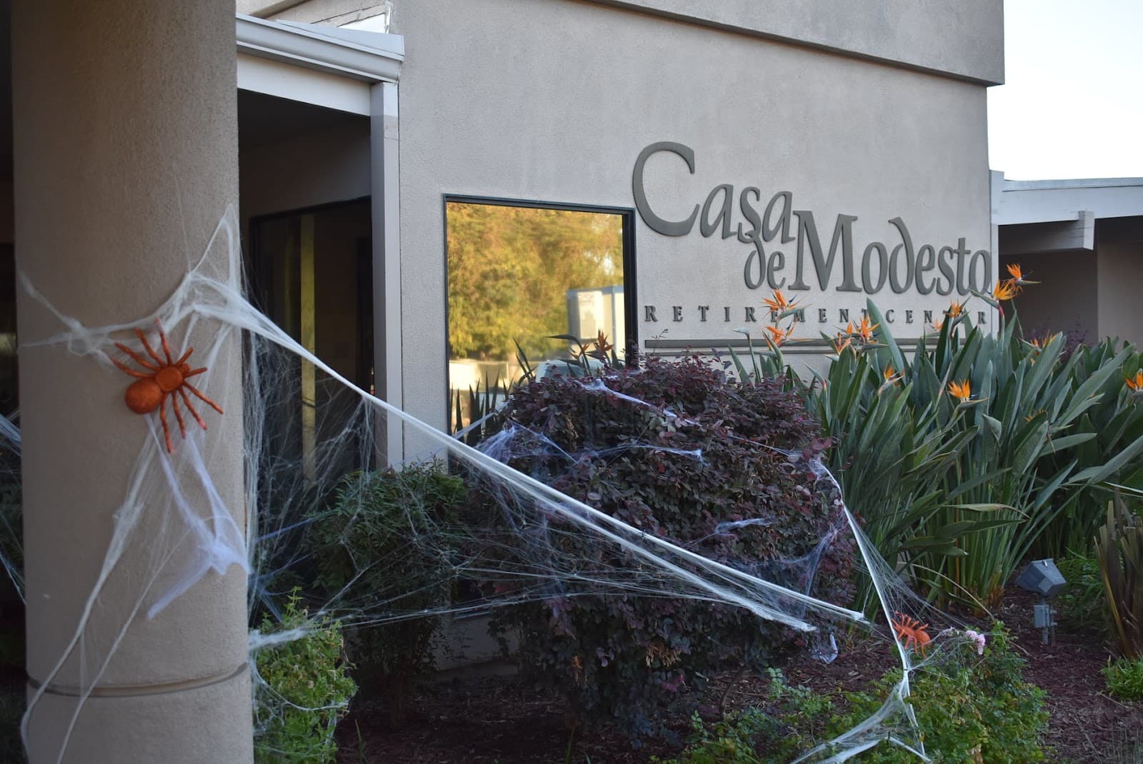 Casa De Modesto photo 5