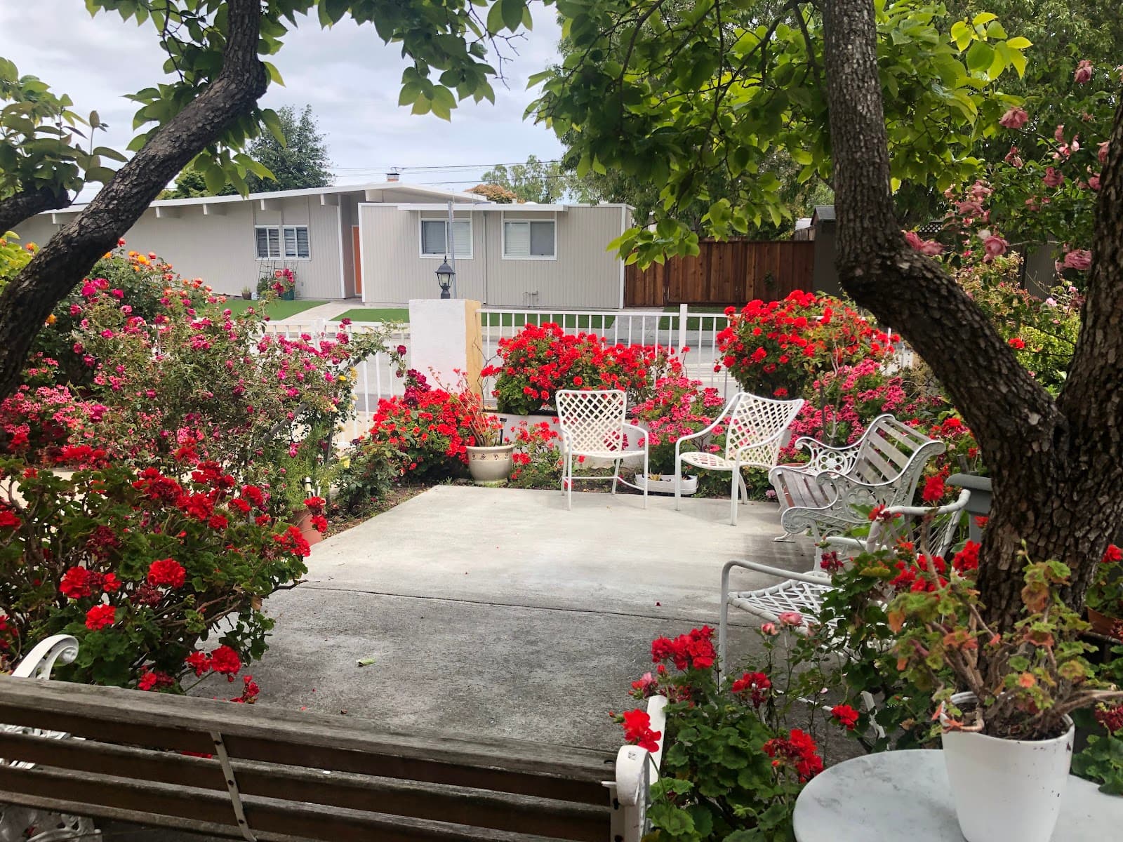 Vanessa Care Home II photo 3