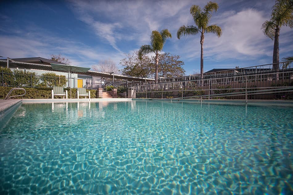 Wesley Palms photo 2