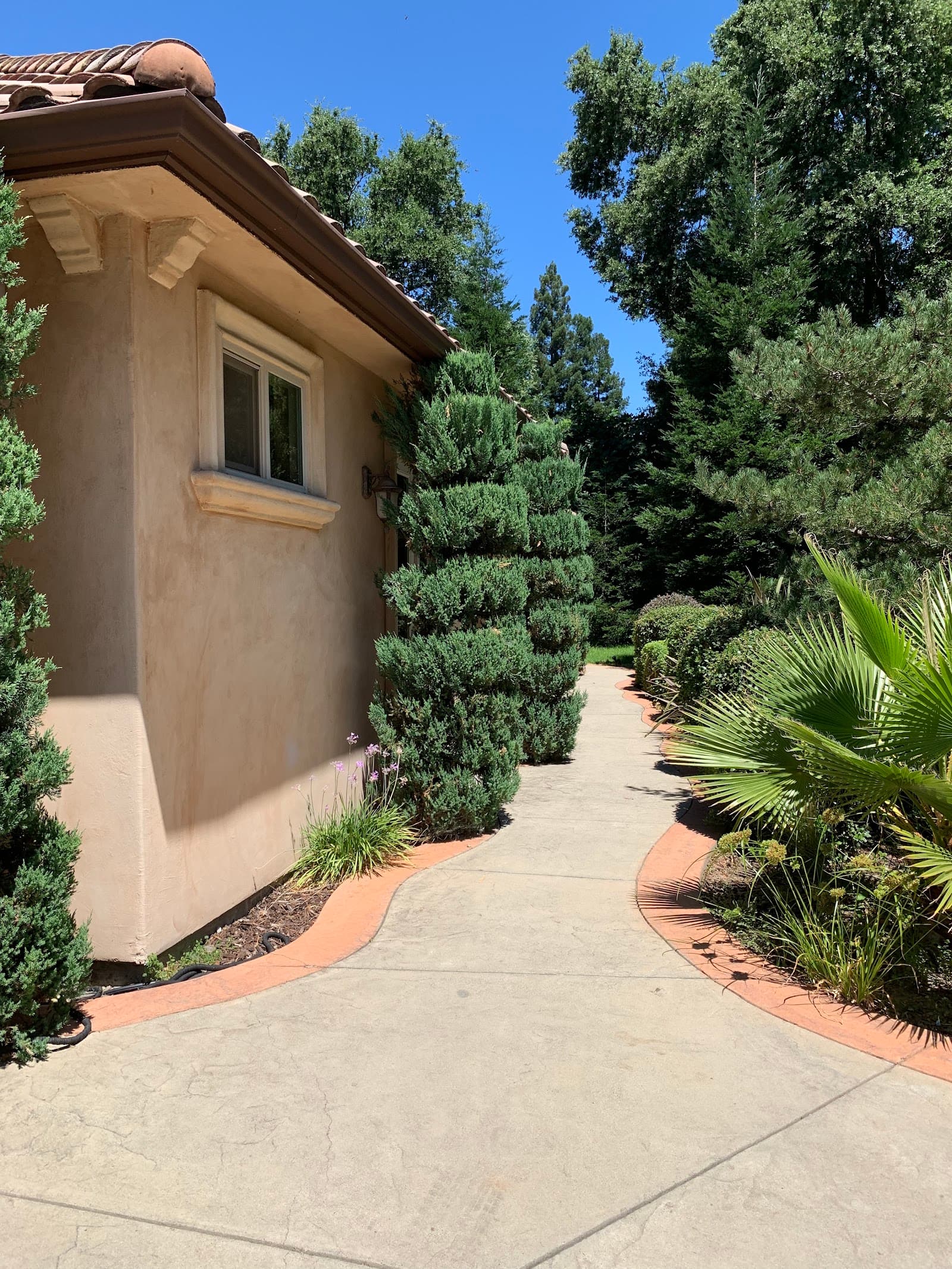 Royal Palms Care Home photo 4