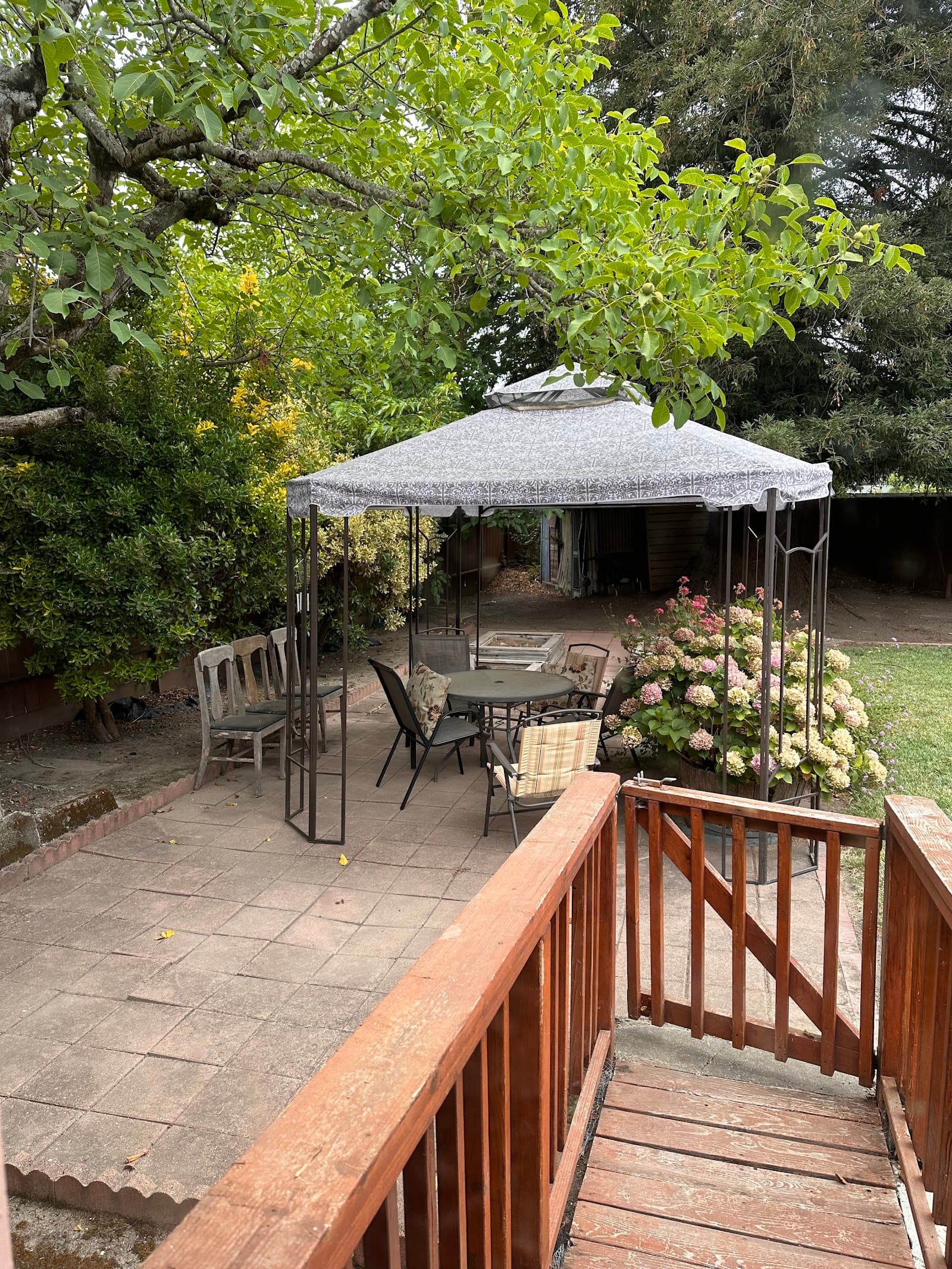 Angel's Place in Mosswood photo 5