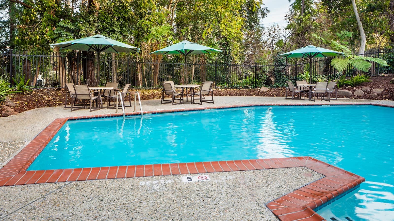 Atria Willow Glen photo 5