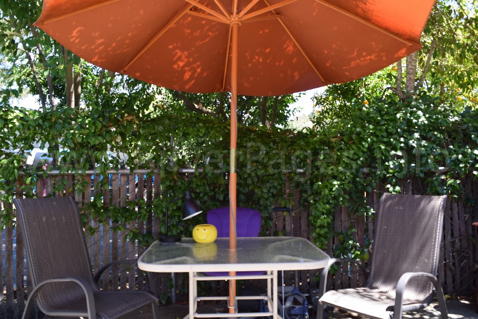 Penny's Guest Home - Alray